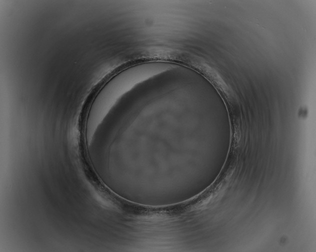 X0000103970674200809261835