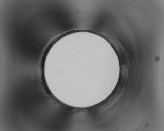 X0000103970676200809261834