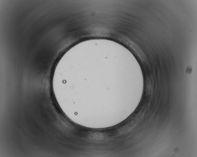 X0000103970677200809261834