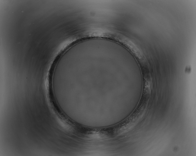 X0000103970678200809261834