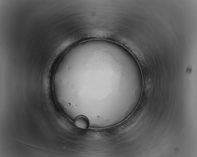 X0000103970679200809261834