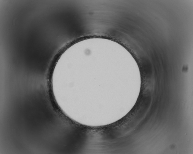 X0000103970680200809261834