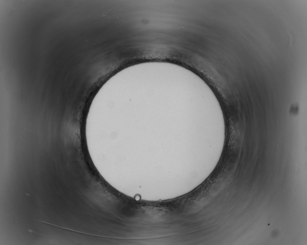 X0000103970681200809261834