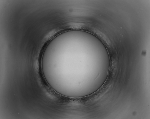 X0000103970682200809261834