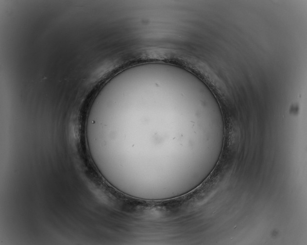 X0000103970683200809261834