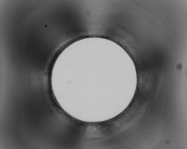 X0000103970684200809261834