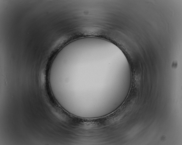 X0000103970686200809261834