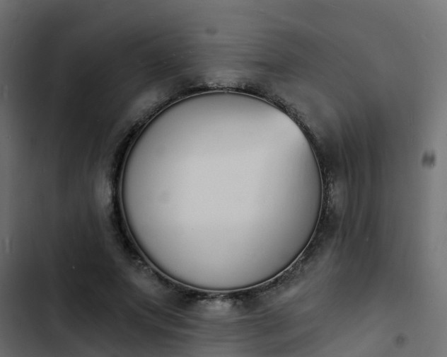 X0000103970687200809261834