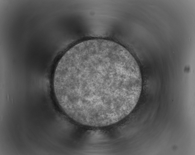 X0000103970688200809261834