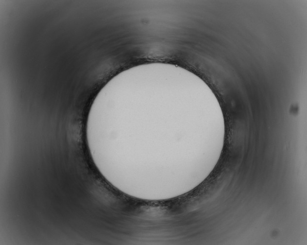 X0000103970689200809261834