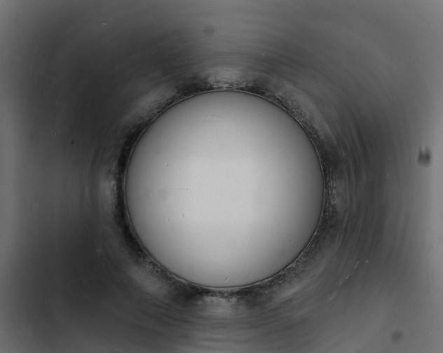 X0000103970690200809261834