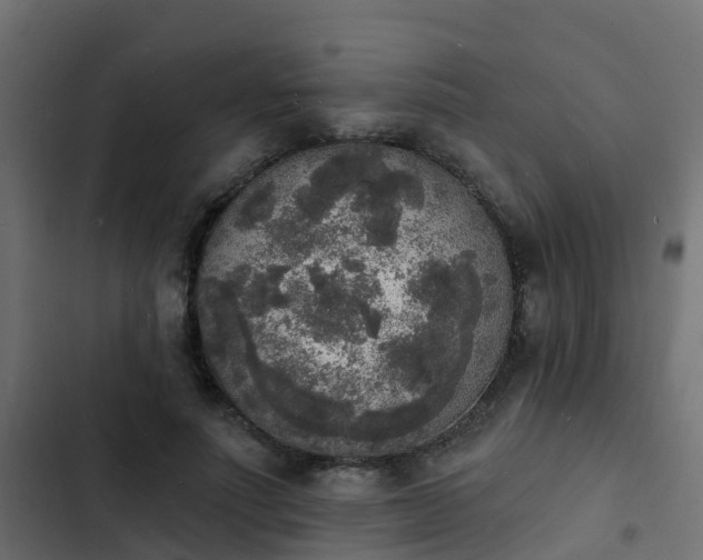 X0000103970691200809261834