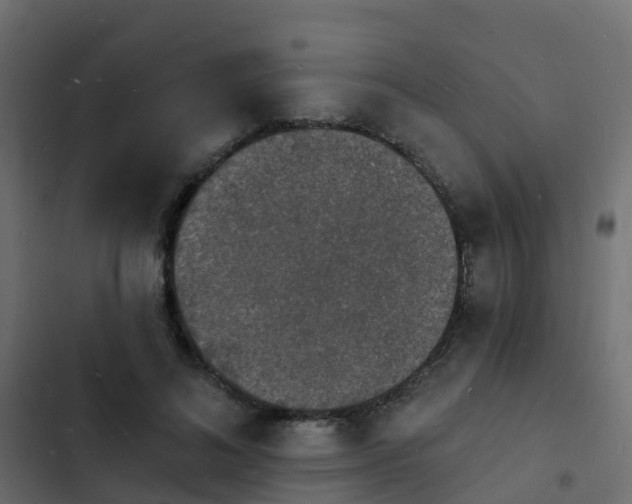 X0000103970692200809261834