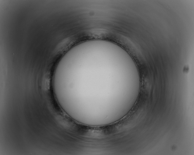 X0000103970694200809261834