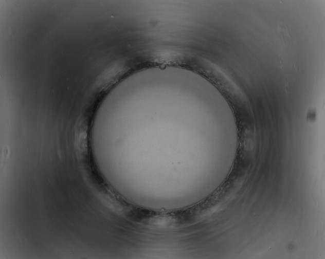 X0000103970696200809261834