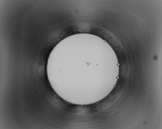 X0000103970697200809261834