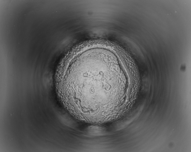 X0000103970699200809261834