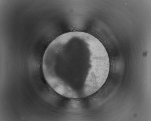 X0000103970701200809261834