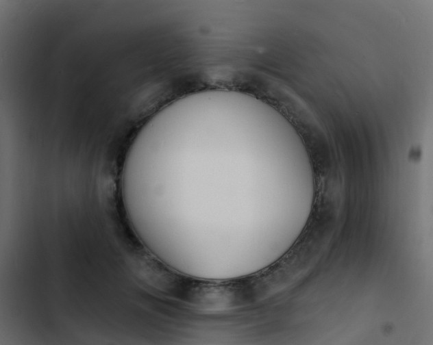 X0000103970702200809261834