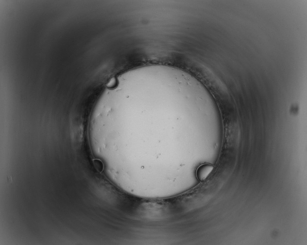 X0000103970703200809261834