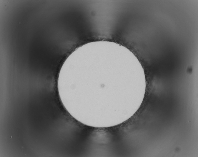 X0000103970704200809261834