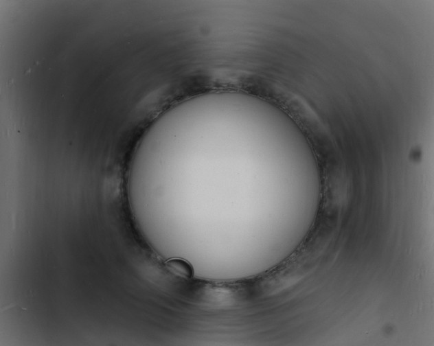 X0000103970706200809261834