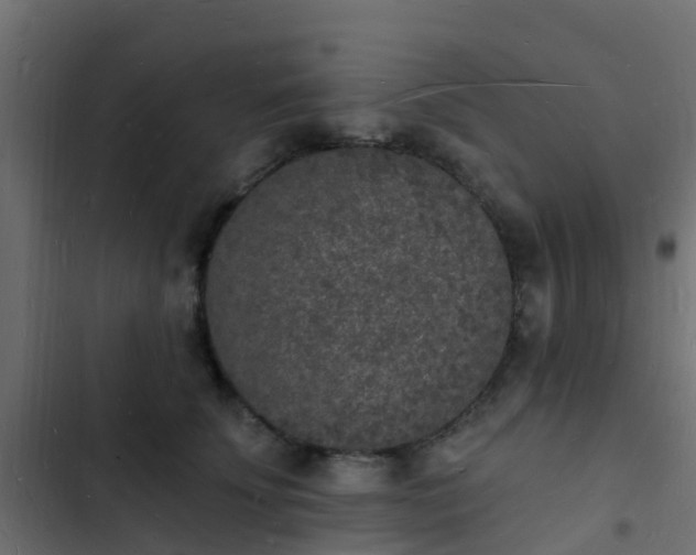 X0000103970707200809261834