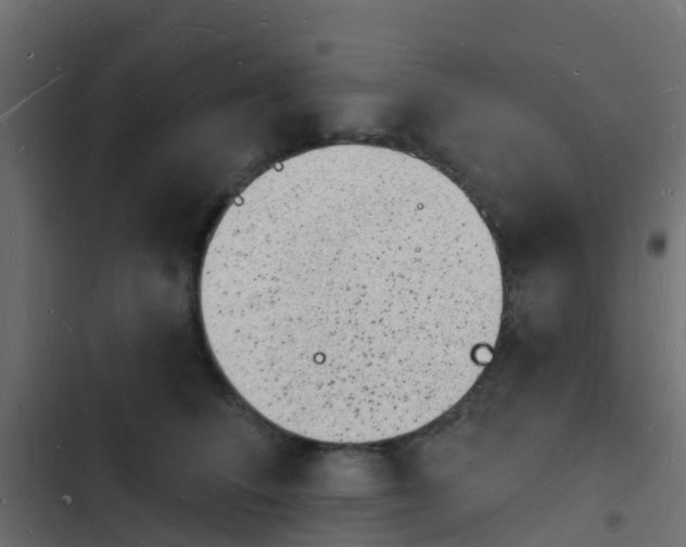 X0000103970708200809261834