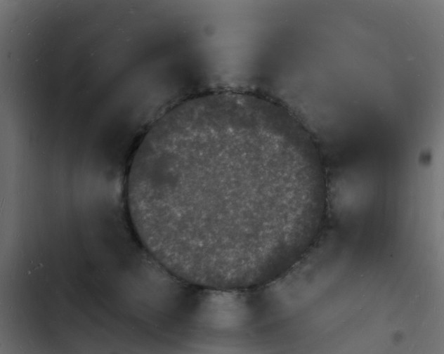 X0000103970709200809261834