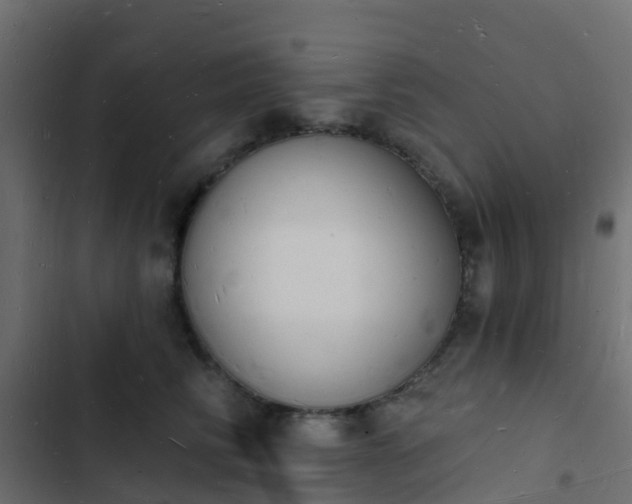 X0000103970710200809261834