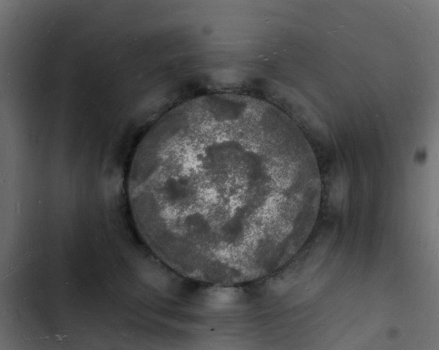 X0000103970711200809261834