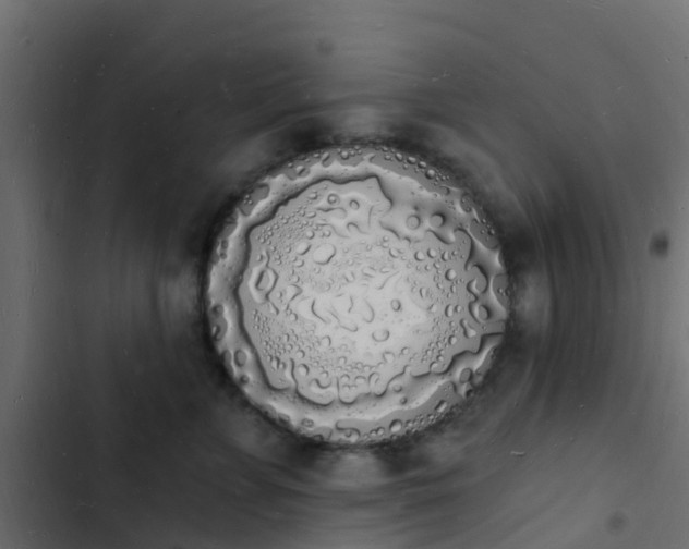 X0000103970715200809261834