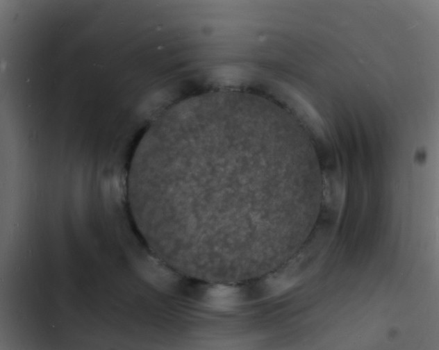 X0000103970718200809261834