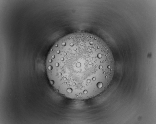 X0000103970719200809261834