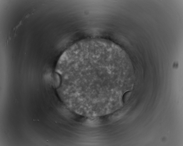 X0000103970720200809261834