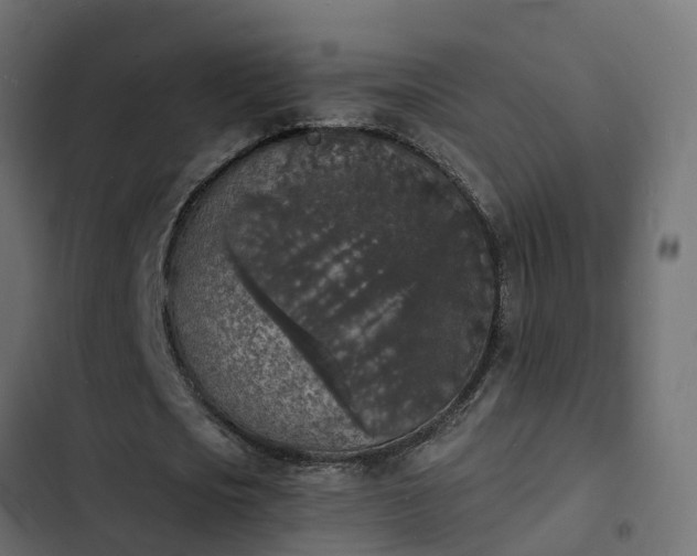 X0000103970721200809261833