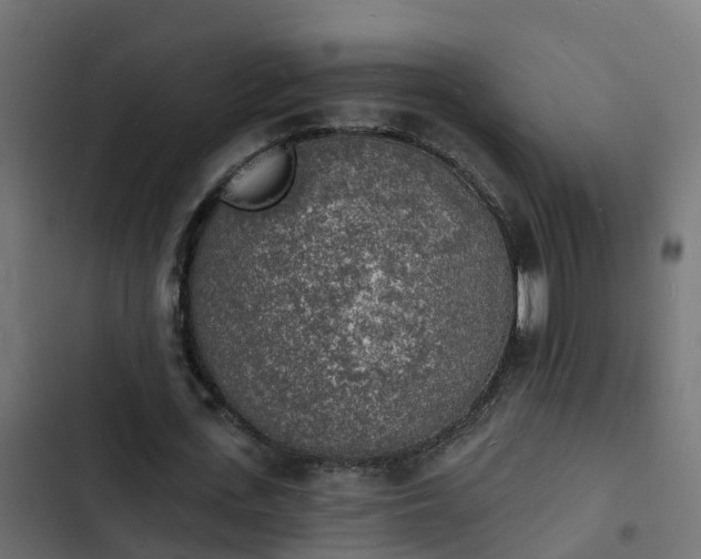 X0000103970723200809261833