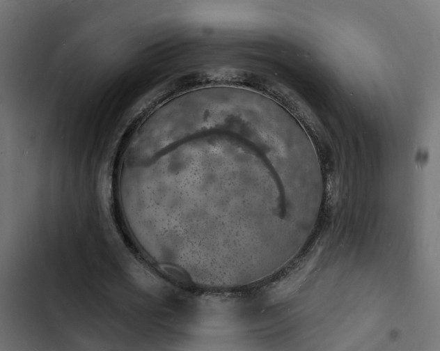 X0000103970725200809261833