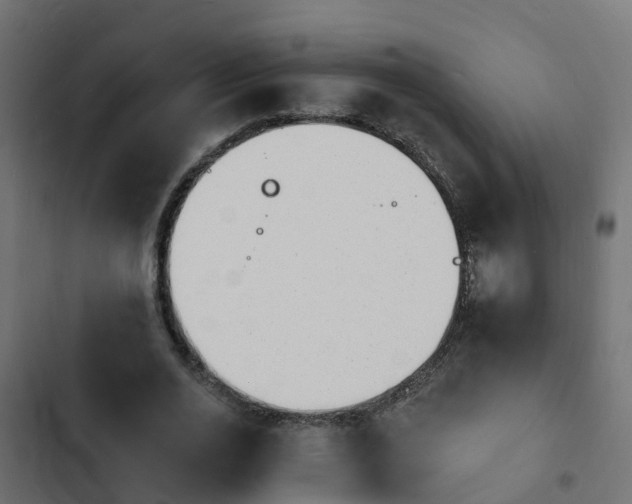 X0000103970726200809261833