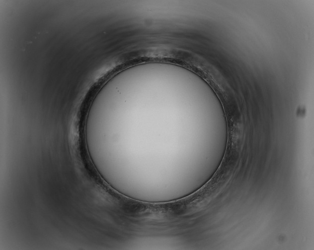 X0000103970727200809261833