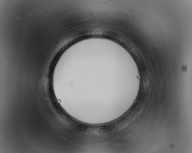 X0000103970728200809261833