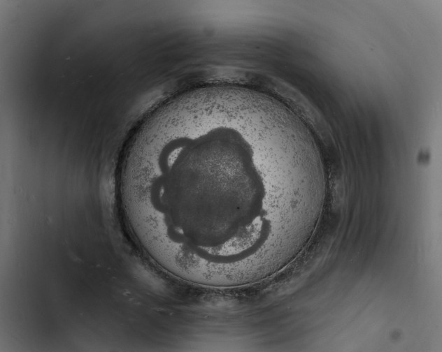 X0000103970729200809261833