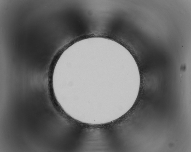 X0000103970730200809261833