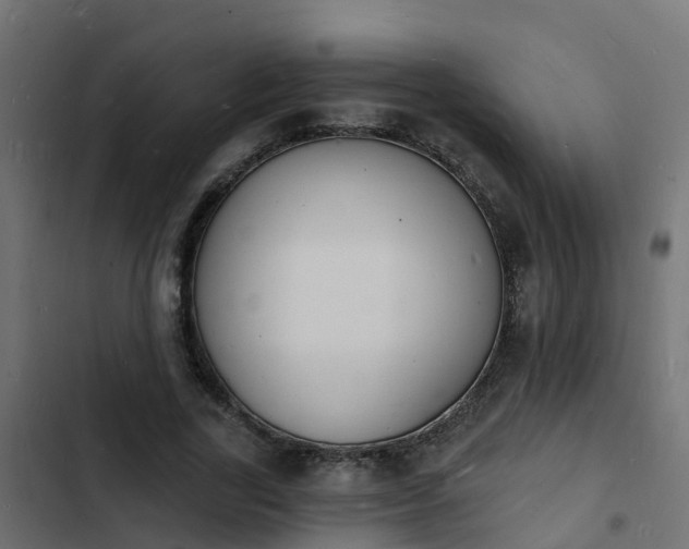 X0000103970731200809261833