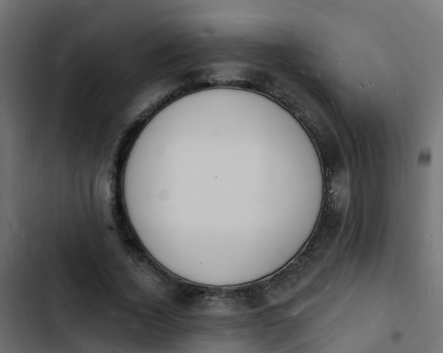 X0000103970732200809261833