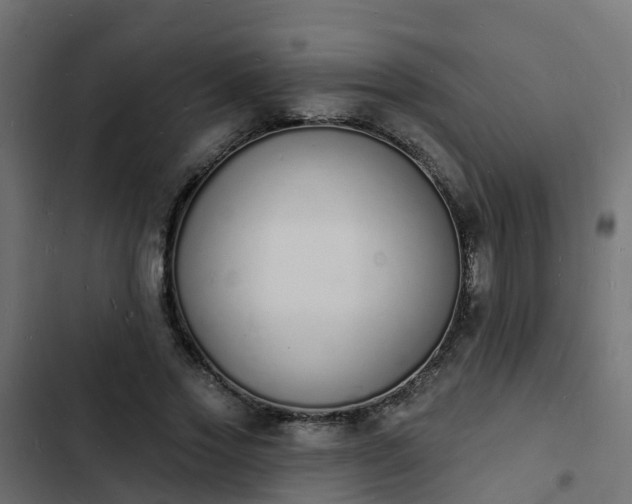 X0000103970733200809261833