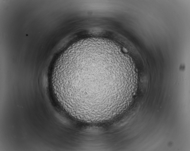 X0000103970734200809261833