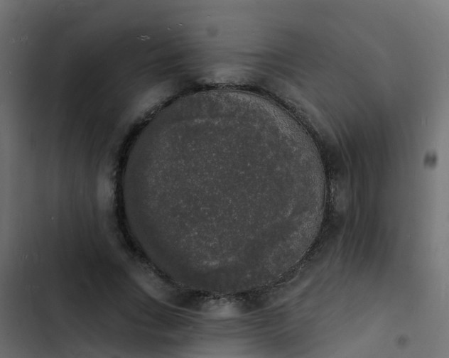 X0000103970735200809261833