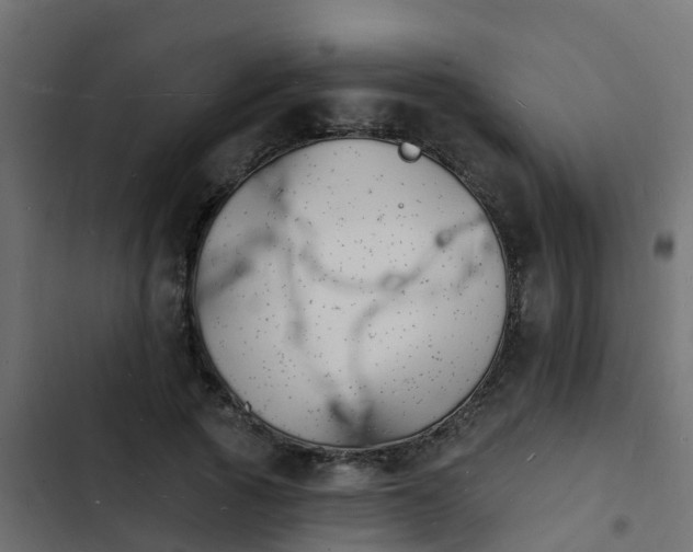 X0000103970737200809261833