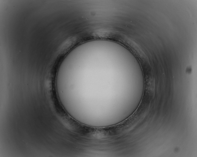 X0000103970738200809261833